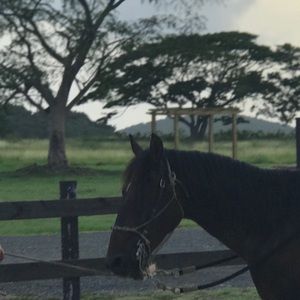 Meet your Posher, Jamarys